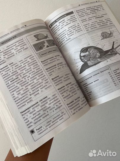 Справочник по биологии егэ/огэ — Т.В.Никитинская