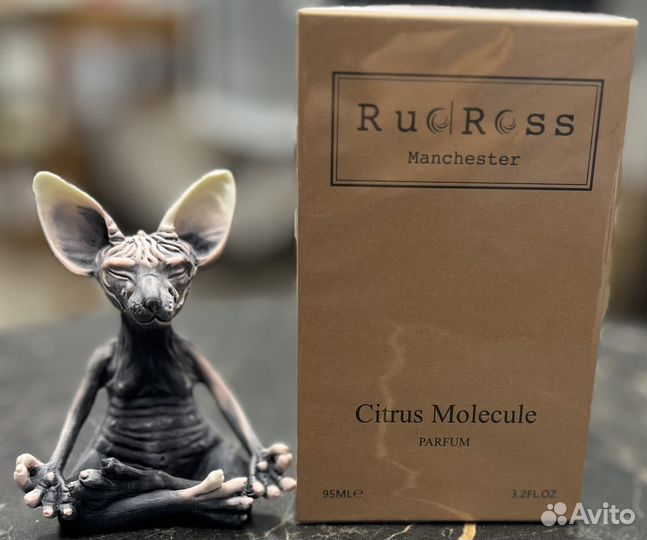 Rudross Citrus Molecule 95 мл оригинал