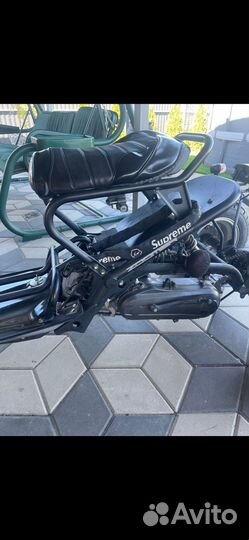 Honda zoomer trike