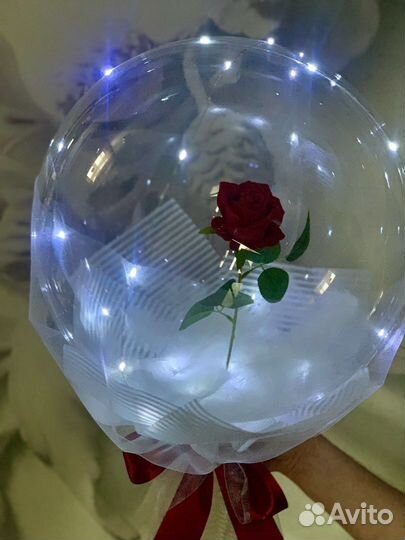 Цветы (роза в шаре )