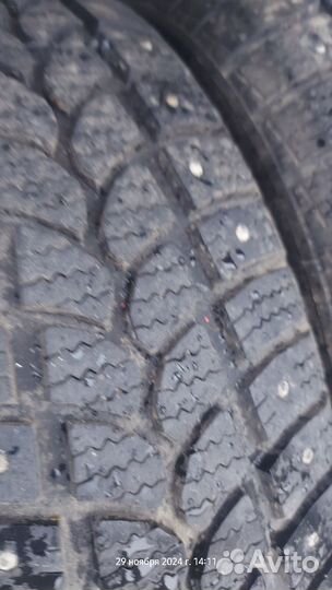 Tigar Sigura Stud 185/65 R15 92T