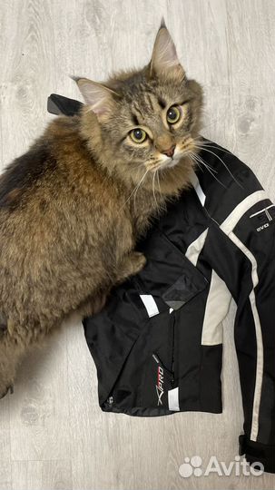 Мотокуртка женская A-pro xs