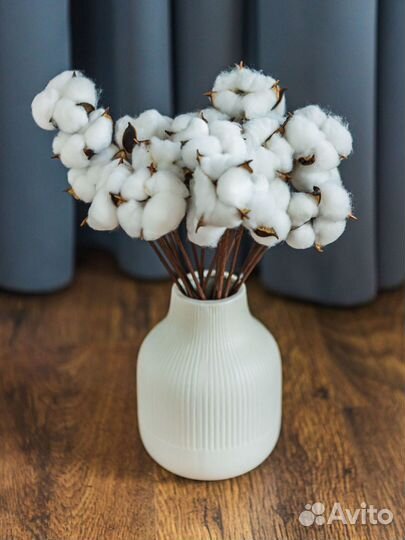 Хлопок 10 веток