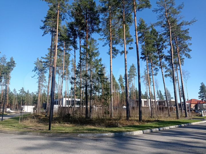 Участок 24,8 сот. (СНТ, ДНП)