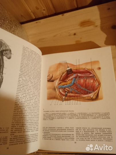 Оэперативная Хирургия и Топографическая Анатомия