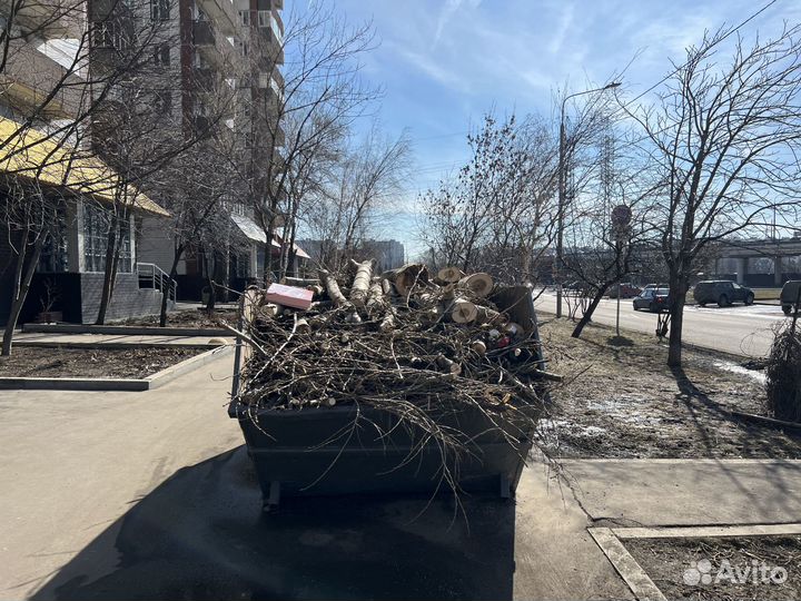 Вывоз мусора Пушкино