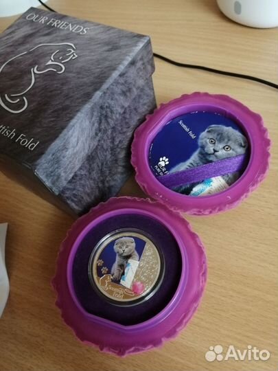 Серебряная монета «Шотландская вислоухая кошка