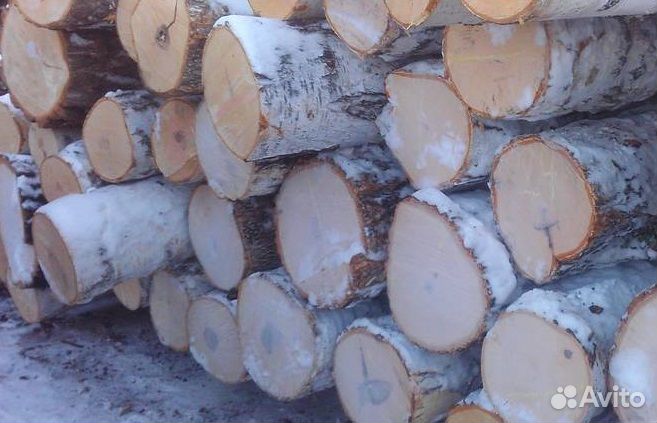 Лес кругляк береза