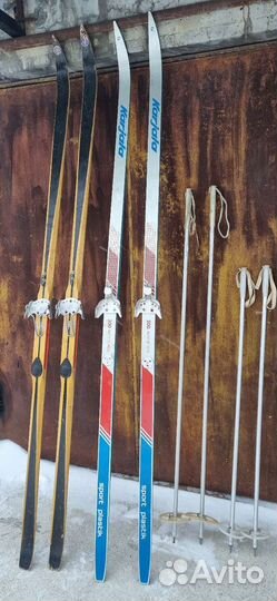 Беговые лыжи