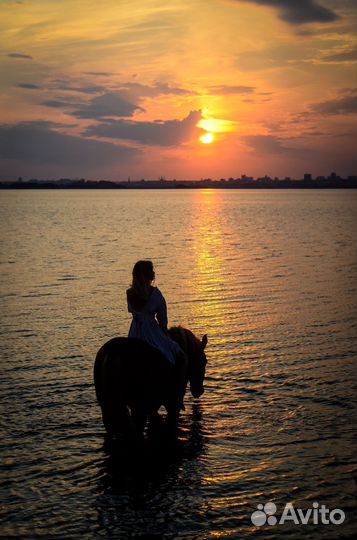 Конные прогулки