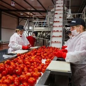 Сортировщик продукции вахта