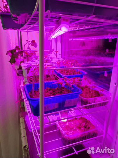 Стеллаж разборный