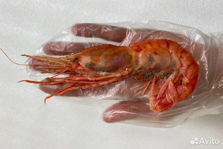 Икра, краб, креветка, рыба, морепродукты оптом