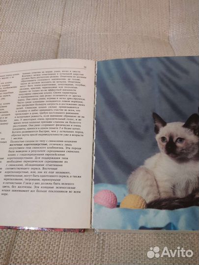 Книга про кошек 