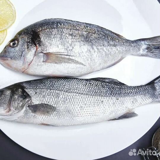 Дорадо, сибас