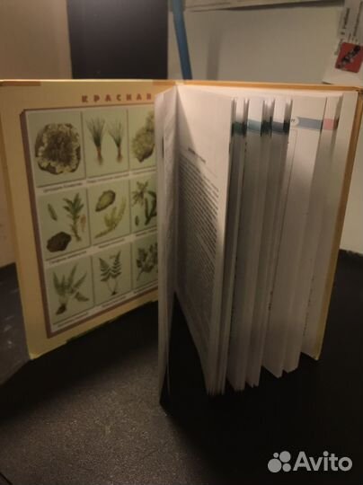 Учебник по биологии 6 класс Трайтак