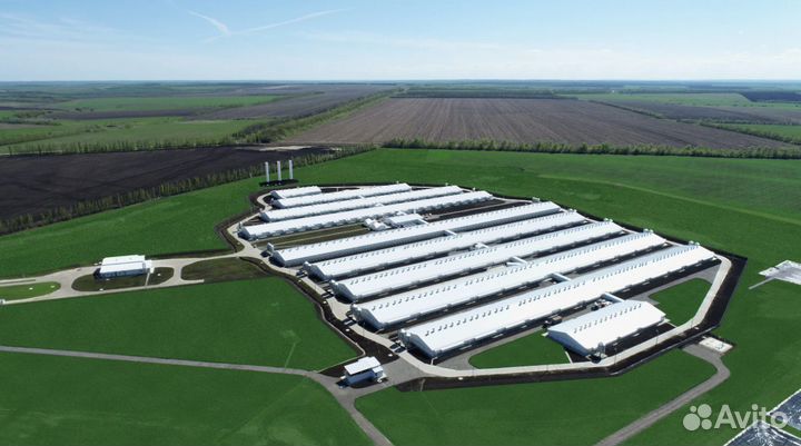 Жиловщик (Агрокомплекс). Вaxтa