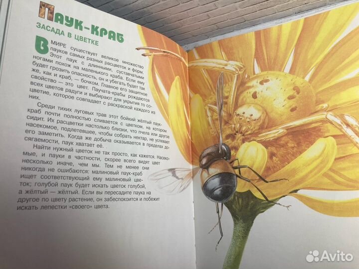 Книга «Тайны живого мира»