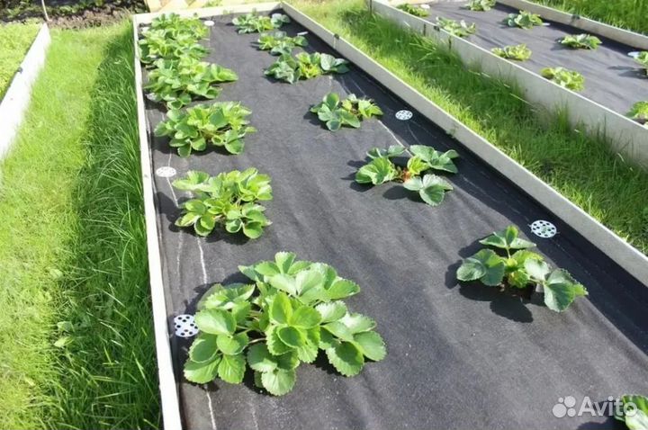 Укрывной материал для растений. Спанбонд черный 60