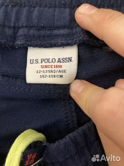 Шорты us polo