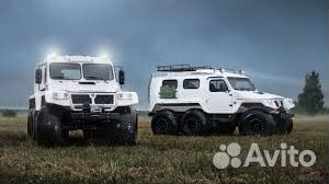 Перевозки на вездезодах