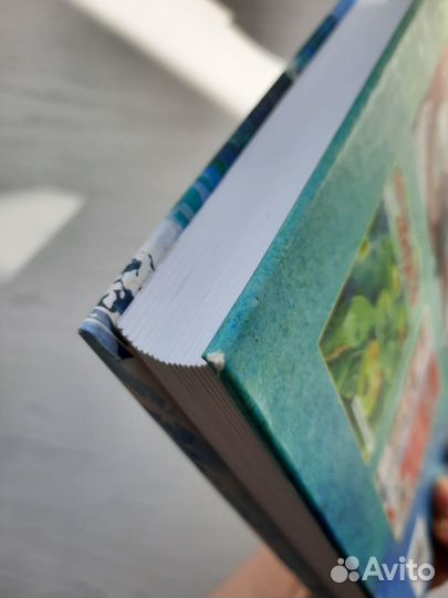 Школа рисования акварелью итальянского мастера