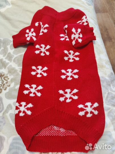 Одежда для животных