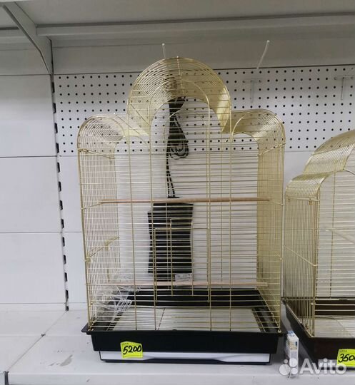 Клетки для Карелла Волнистый Неразлучник