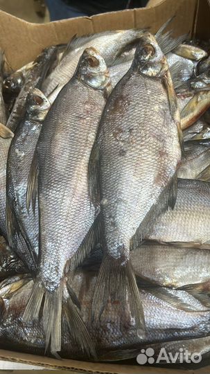 В наличии рыба вяленая, лещ плотва синец