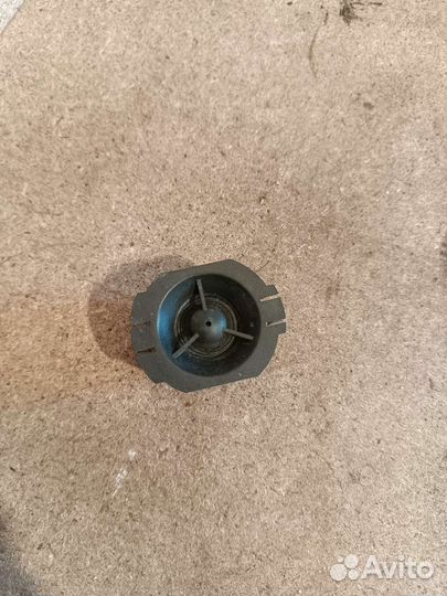 Пищалка Renault