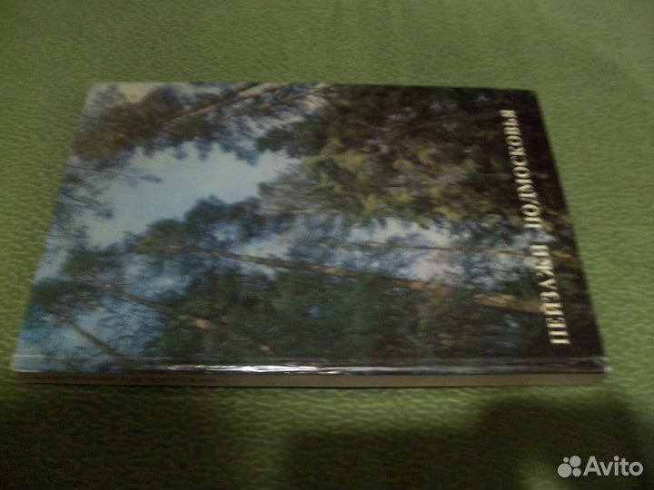 Роскошный фотоальбом 