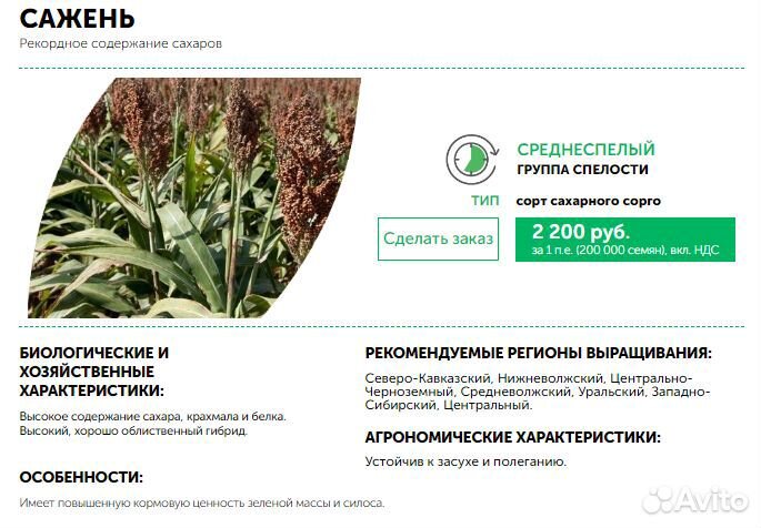 Сорго зерновое сахарное сорго-суданковые гибриды