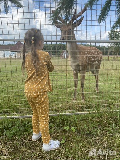 Костюм (комплект) на девочку Zara