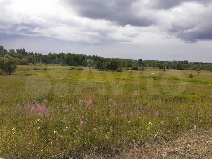 Участок 1,4 га (ИЖС)