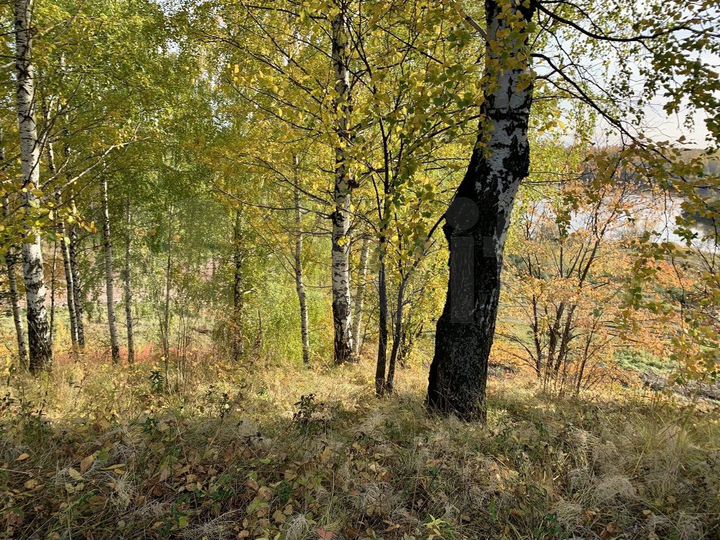 Участок 12 сот. (СНТ, ДНП)