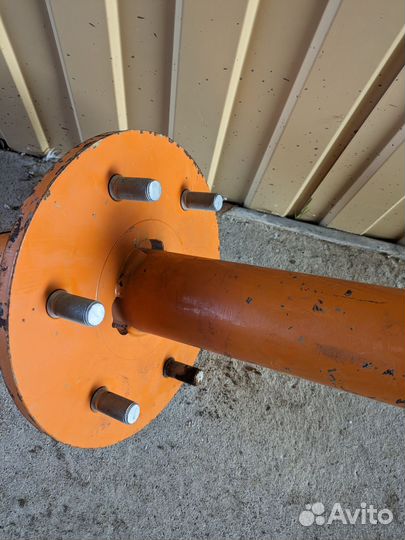 Ступица амазоне