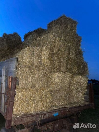 Продам солому, зерно ячмень