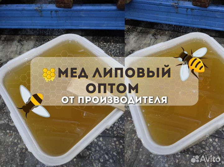 Липовый свежий мёд опт