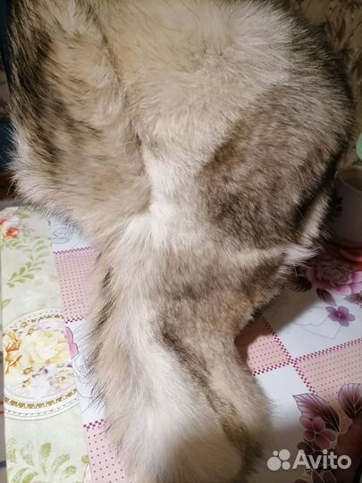Шапка из полярного волка размер 62 размер