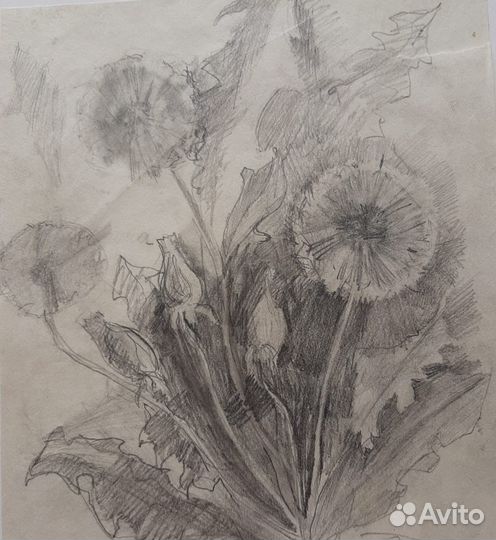 Репетитор по рисованию