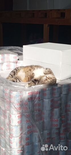 Сборщики, комплектовщики, приёмщики на склад