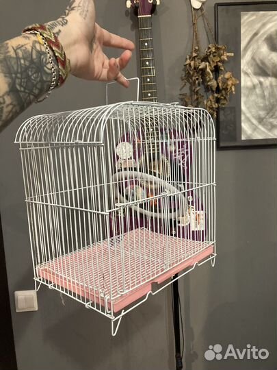 Клетка для птиц