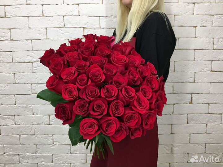 51 красная роза 50 см (Эквадор)