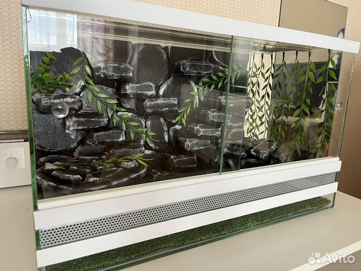 Террариум для рептилий
