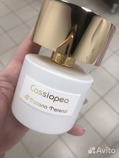 Cassiopea tiziana terenzi