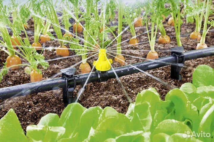 Капельный полив для дома дачи