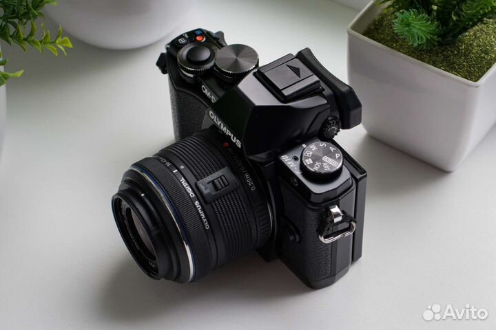 Olympus OM-D E-M10 Kit