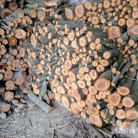 Дрова колотые