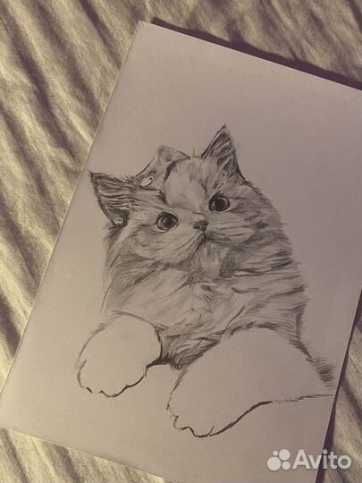 Рисунок котика