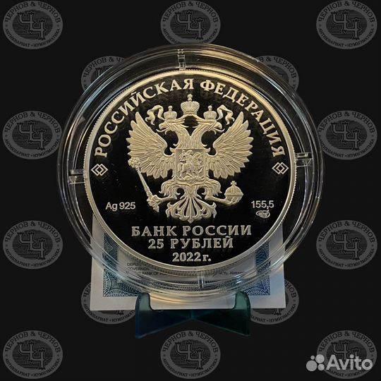 Серебро 25 рублей 2022 Свияжск